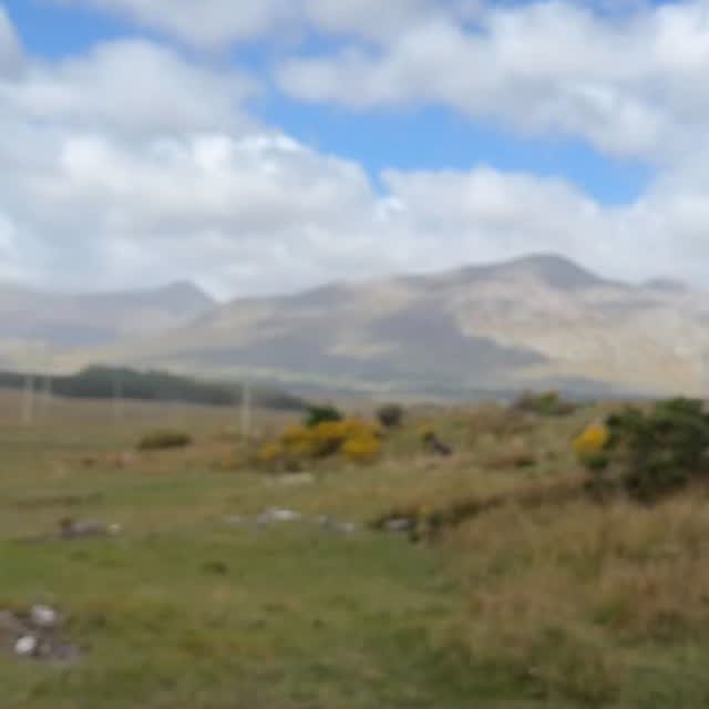 Beautiful Connemara ☘️

Ireland. The best country in the world 💚

#connemaramarble #connemaramarblejewelry #madeinireland #unique #ireland