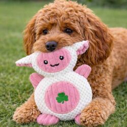 Adorable Irish Shamrock Lamb Dog Toy with lucky shamrock belly. Plush squeaky toy perfect for cuddling, gentle play, and St. Patrick’s Day fun.